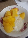 Close-up, top view, steamed sticky rice with sugar and coconut milk with ripe mango, Thai dessert concept.