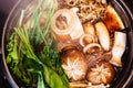 Close up top view of Sukiyaki hot pot with boiling vegetables including cabbage, konjac noodle, onion, carrot, shiitake, enokitake Royalty Free Stock Photo