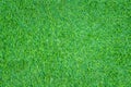 Top view texture artificial green grass seamless patterns background