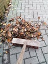 a Close-up top view of a wooden broom sweeping away autumn leaves on the terrace