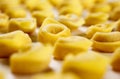 Close up of Tortellini, Bologna typical fresh stuffed pasta