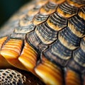 A close up of a tortoise shell, AI