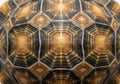 And unique patterns found in nature, emphasizing the tortoise\'s Royalty Free Stock Photo