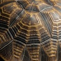 Found in tortoise shells, like those of the Indian star tortoise Geochelon Royalty Free Stock Photo