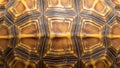 Close-up of a tortoise shell showcasing its unique, textured pattern Royalty Free Stock Photo