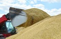 Close-up of a tractor bucket filled with grain.