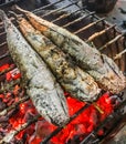 Close up Traditional Charcoal Roasted or Grilled Catfish on the stove, Authentic Thai street food. Favorite side dish menus