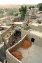 Close up of traditional Dogon village