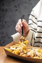 Close up of traditional Fries with cheese and bacon in a paper plate at a street food market. Fast food take away. copy space Royalty Free Stock Photo