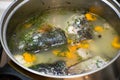 Close up of traditional russian fish soup. Scherba - Russian Cossack fish soup. Fish soup with trout and vegetables. Royalty Free Stock Photo