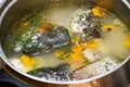 Close up of traditional russian fish soup. Scherba - Russian Cossack fish soup. Fish soup with trout and vegetables. Royalty Free Stock Photo