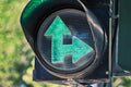 Close-up traffic light photo with luminous green arrows on blurred green background Royalty Free Stock Photo