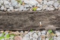 Close up of train track, spike, and wooden railroad tie.