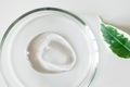 Close-up transparent shampoo gel smudge in glass petri dish and leaf on white background. Concept making natural organic cosmetics