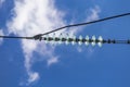 CClose up of a transparent turquoise high voltage insulator or isolator in sunlight on electric tower on blue sky background Royalty Free Stock Photo