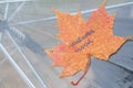 Close up Transparent Umbrella with leaf autumn mood text water drops during the rain with green orange leaves tree on