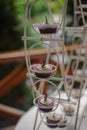 Close up of tray with lot delicious diversity pastry cakes tartlets and macaroon in a row. Royalty Free Stock Photo