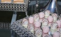 Close up of tray with lot delicious diversity pastry cakes tattlers and macaroon in a row Royalty Free Stock Photo