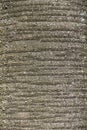 Close-up of tree bark with horizontal line patterns for background Royalty Free Stock Photo
