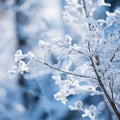 a close up of a tree covered in snow