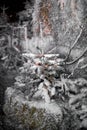 A close up of a tree covered in snow Royalty Free Stock Photo