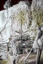 A close up of a tree covered in snow Royalty Free Stock Photo