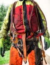 Close-up of a tree-cutter with equipment on his body