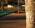 Close-up on a tree with an empty playground in background Royalty Free Stock Photo