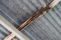 Close-up of a tree that has been bitten by termites Old house decay Wooden background pictures in the house