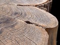 Close up of a tree stump with rough brown timber surface with darker scorch marks and cracks following the growth rings
