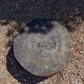 Close-up of a tree stump with the word 'Tanne' carved into it