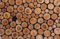 Close up of tree stumps background. Wall of stacked wood logs as backgrounds. Wood cross slice. Stack of brown circle wood, front Royalty Free Stock Photo