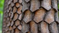 A close up of a tree trunk with bark that looks like it has been carved, AI Royalty Free Stock Photo