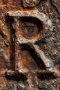 Close-up of a tree trunk with the letter R carved into it, suitable for designs and illustrations Royalty Free Stock Photo