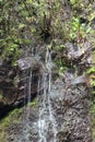 Close up of a trickling section of Wailua Falls running down volcanic rock which is covered with moss, ferns and plants Royalty Free Stock Photo