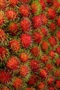 Close up for Tropical Fruits Rambutan for background.