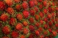 Close up for Tropical Fruits Rambutan for background.