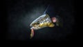 Close-up trout in the hand of a fisherman on a dark background