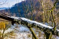 Close-up of a trunk fallen in a hill with traces of snow with bare trees in the blurred background Royalty Free Stock Photo