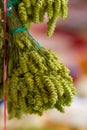 Tuft of green herb on the rope at farmer`s market outdoors