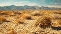 Close-up of a tumbleweed in the desert with mountains in the background Royalty Free Stock Photo