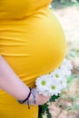 Close up on tummy of pregnant woman, wearing yellow dress, holding in hands bouquet chamomile flowers outdoors, new life concept Royalty Free Stock Photo