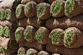 Close Up Of Turf Rolls Waiting To Be Laid As New Lawn Royalty Free Stock Photo