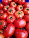 Close Up Turkish Tomatoes at Bazaar Royalty Free Stock Photo