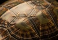 Close-up of a turtle shell displaying a series of interconnected Royalty Free Stock Photo