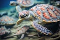 close-up of turtles patterned shell underwater