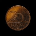 Close up of a twenty Forint Hungarian coin.