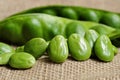 Close up the twisted cluster bean or bitter bean Parkia specios