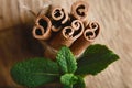 Close-up twisted sticks of cinnamon bundle, green leaves of fresh mint, selective focus, marco