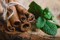 Close-up twisted sticks of cinnamon bundle, green leaves of fresh mint, selective focus, marco, set